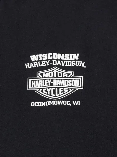 Vista 3 de Harley-Davidson Skull Lightning Crest - Camisa de manga larga para hombre, color negro, Negro