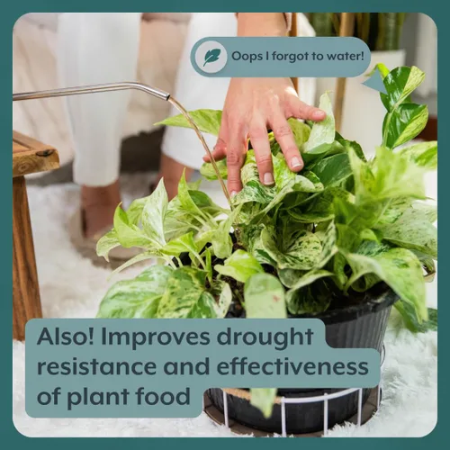 Vista 6 de Soporte instantáneo para plantas Probióticos de suelo y micorrizas para plantas de interior y jardines de interior Sin olor - Sin polvo - Sin
