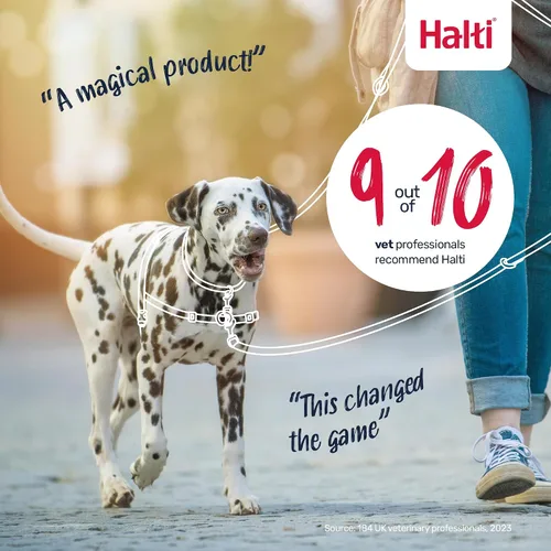 Vista 9 de Halti Arnés de control frontal tamaño mediano y correa de entrenamiento Halti tamaño grande, paquete combinado negro – evita que tu perro tire