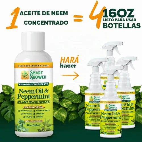 Vista 4 de Aerosol de aceite de neem para plantas con aceite de menta, para plantas de interior y exterior, jardines y plantas de interior, recambio