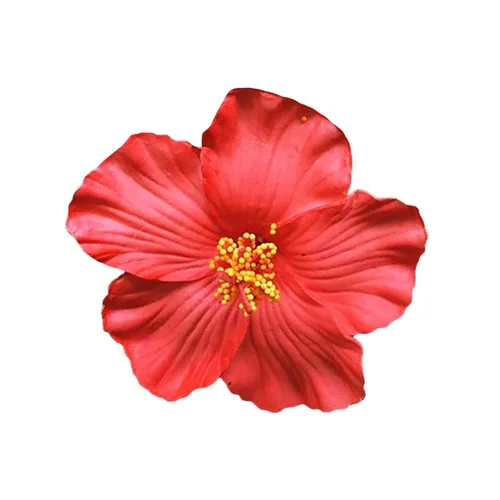Vista 2 de 1 pinza para el pelo de flores hawaianas rojas para mujeres y niñas, accesorio para el cabello de flores bohemias para bailarina, novia, boda