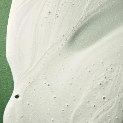 Vista 4 de ALFAPARF MILANO Benvoleo - Champú de recuperación para cabello dañado, limpio, vegano y sostenible, champú sin sulfato, repara, reconstruye, protege
