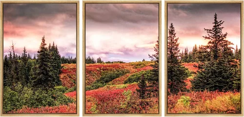 Vista 41 de SIGNWIN Lienzo enmarcado para pared, juego de arte nublado de tormenta, cielo, bosque otoñal, árboles, rústico, naturaleza, fotografía, realismo
