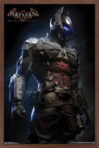 Vista 17 de Trends International DC Comics VIdeo Game - Arkham Knight - Armor Wall Poster, 14.725" x 22.375", Barnwood Framed Version