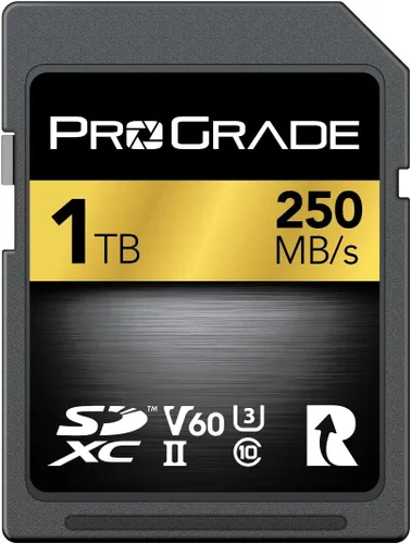 Vista 9 de Tarjeta SD UHS-II de 128 GB V60 – Velocidad de escritura de hasta 130 MB/s y velocidad de lectura de 250 MB/s para vloggers profesionales