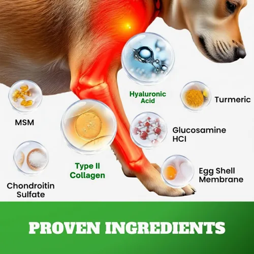 Vista 3 de Suplemento masticable para articulaciones de perros con glucosamina, MSM y Omega 3, apoyo articular para perros mayores y de razas grandes