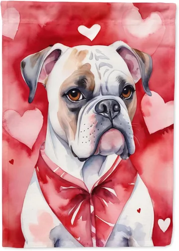 Vista 45 de Caroline's Treasures DAC5252GF Affenpinscher - Bandera de jardín con texto en inglés "My Valentine", bandera decorativa para patio exterior, patio