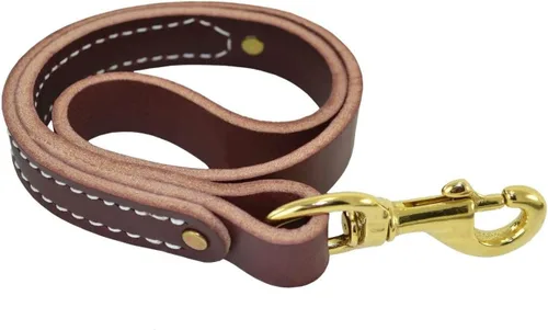 Vista 3 de Ray Allen Leather Latigo Traffic Lead (correa de perno, 11")