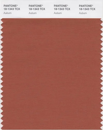 Vista 16 de PANTONE Tarjeta de muestra de color inteligente 18-1314X, bellota