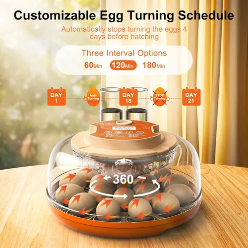Vista 2 de Incubadora de 18 huevos, giro automático con control de temperatura y humedad, vela de huevos, vista 360 con ventilación de aire, recarga automática