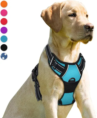 Vista 115 de BARKBAY - Arnés para perro sin tirones con clip frontal, material resistente y reflectante, asa de fácil control para pasear perros grandes