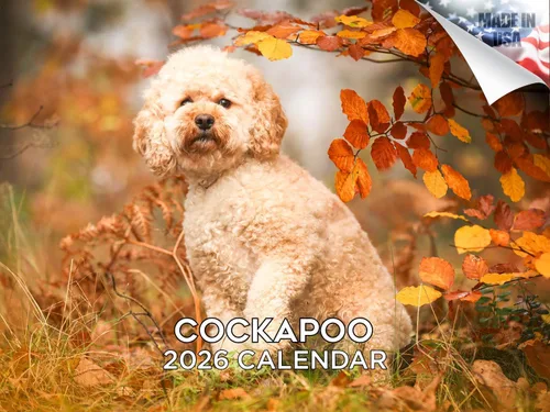 Vista 93 de Calendario de Lebrel Afgano 2025 2026, calendario mensual de pared de raza canina, 12" x 18" abierto, papel grueso sin traspaso, ideal para regalo