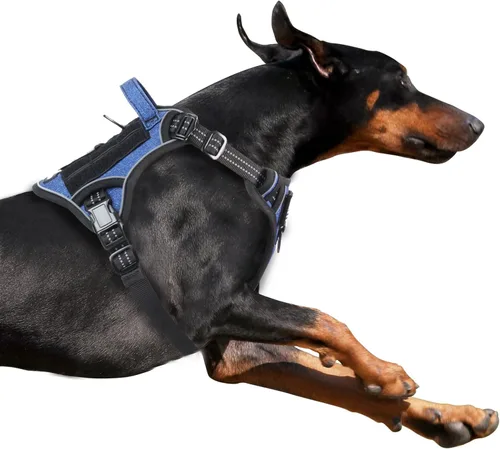 Vista 7 de BUMBIN Arnés táctico para perros pequeños sin tirones, famoso arnés de TIK TOK sin tirones para cachorros, arnés reflectante inteligente para Negro