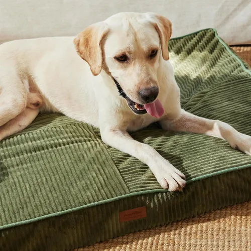 Vista 7 de FUKUMARU Cama para Perros, Camas Ortopédicas de Pana Engrosada para Perros con Funda Lavable, Cama Grande Impermeable para Perros para Jaula