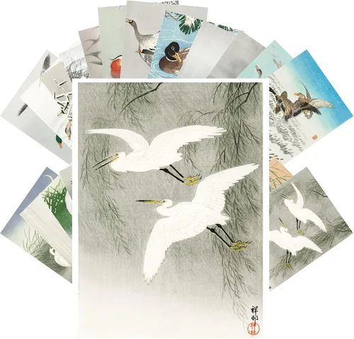 Vista 4 de Pixiluv Postales vintage (24 piezas de 10x15 cm cada una) Ilustración de libro botánico antiguo de colibríes y pájaros pequeños Tarjetas de nota Agua