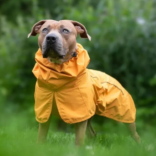 Vista 5 de Spark Paws - Chaqueta impermeable para perros, resistente al viento, para perros pequeños, medianos, grandes y extragrandes, traje reflectante