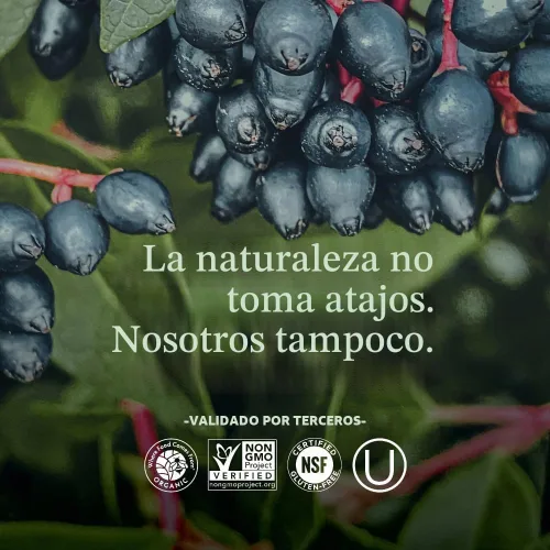Vista 5 de New Chapter Vitamina C + saúco con vitamina C fermentada, hierbas integrales + protección de colágeno, 60 unidades (paquete de 1)