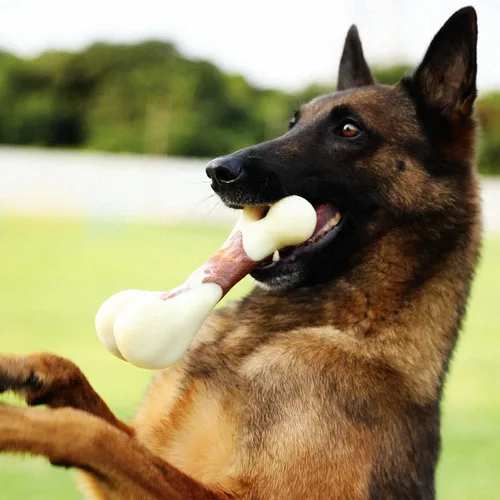 Vista 5 de Tikaton Juguetes masticables indestructibles para perros para masticadores agresivos, sabor a carne de res, juguetes masticables duraderos