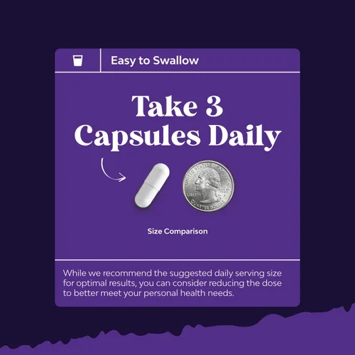 Vista 5 de Pastillas nocturnas de desintoxicación e hidratación hepática – Suplemento de apoyo hepático de recuperación antes y después de beber para mejores
