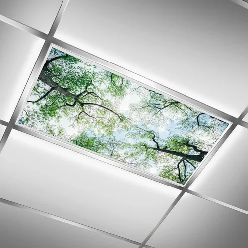 Vista 29 de Cubiertas de luz fluorescente para luces de techo de aula – Película retroiluminada de 2x4 pies para luminarias fluorescentes, fácil de instalar