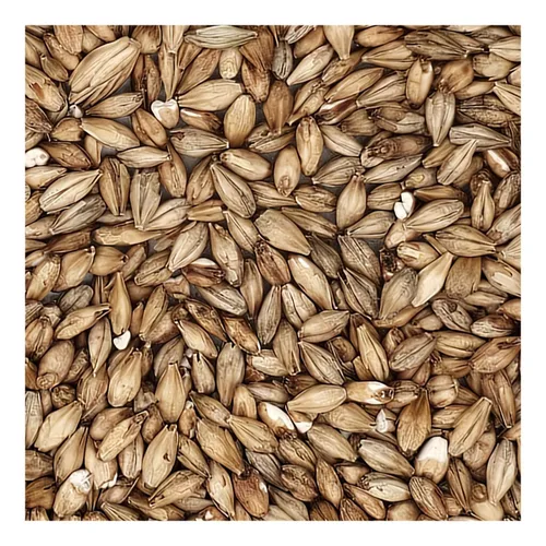 Vista 5 de Home Brew Ohio Grano acidulado 10lb