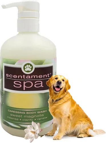 Vista 13 de Best Shot Scentament Spa Caressing Body Wash, pepino melón, 16 onzas