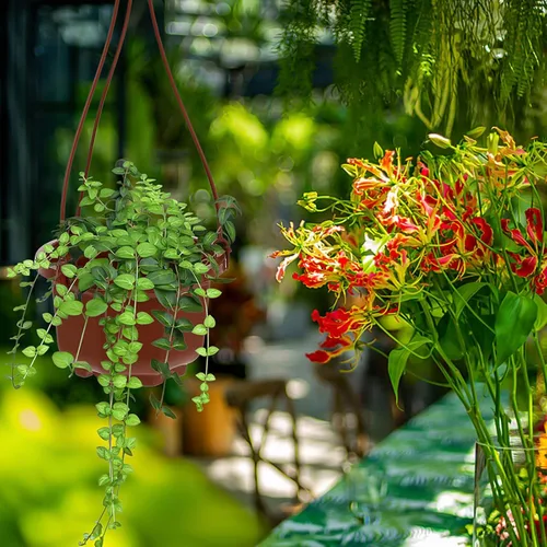 Vista 9 de DOITOOL Macetas colgantes de plástico con gancho para plantas Chlorophytum Octogonal Ventilado Root Plantador para Balcón Jardín Decoración