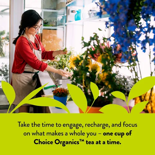 Vista 5 de Choice Organic Teas Té verde de jazmín, té verde perfumado con flores de jazmín, comercio justo, compostable, contiene cafeína, 16 bolsas de té