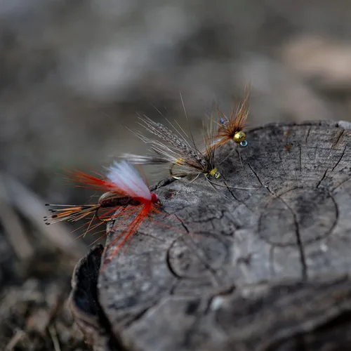 Vista 3 de Goture Fly Fishing Flies Kit,25pcs/30pcs/100pcs Fly Fishing Lures,Dry Flies Wet Flies Streamers Nymphs Flies, Fly Fishing Assortment Kit for Bass