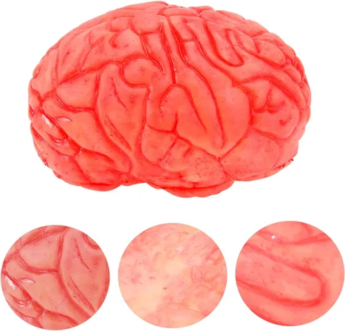 Vista 8 de ARTIBETTER Halloween partes del cuerpo zombi cerebro halloween Cerebro decoración accesorios fiesta accesorios falsos decorar prótesis mano prótesis