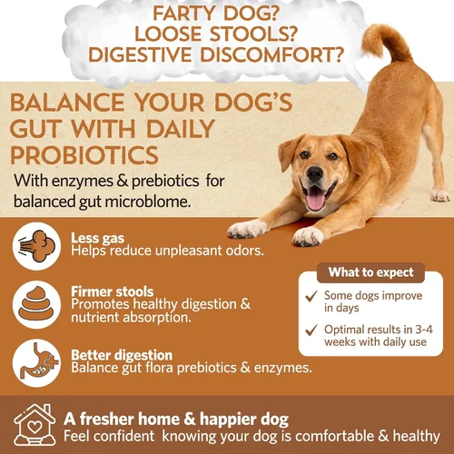 Vista 2 de Fidobiotics Good Guts Probióticos para perros – Polvo probiótico para perros para la salud digestiva, alivio de gases y heces más firmes, 3B UFC