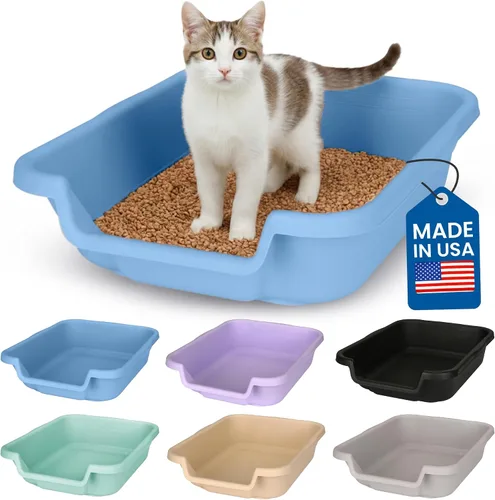 Vista 31 de KittyGoHere - Caja de arena para gatos mayores, sartén pequeña con cuchara jumbo de mango largo, caja de arena para gatos de entrada baja, ligera