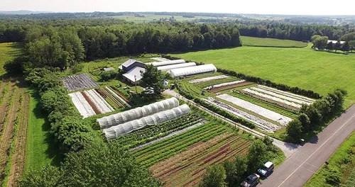 Vista 3 de The Market Gardener's Toolkit