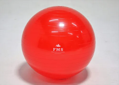 Vista 4 de FIM ISU 25.6 in Fitness Stability Ball • Yoga Balance Ball • Ejercicio Entrenamiento Bola INCLUYE Bomba de Pie