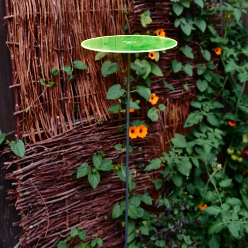 Vista 2 de Cazador-del-sol - Juego de 3 atrapasoles de 8" - Uno - Verde