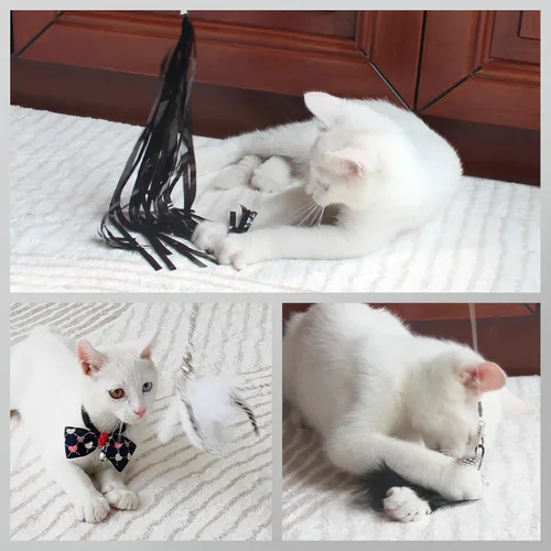 Vista 6 de SONGWAY Juguetes de varita para gatos de interior, juego de juguetes para gatos con varita retráctil y 6 recambios de juguetes de plumas, juguetes