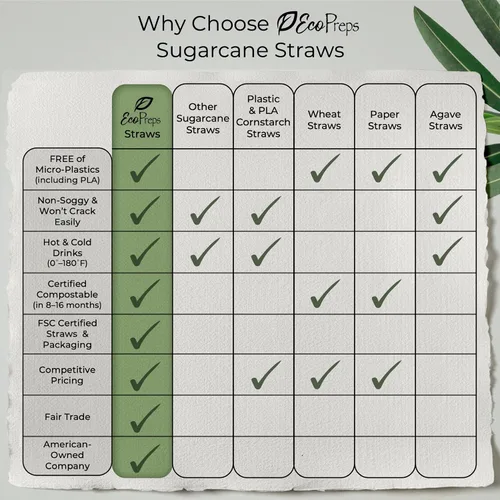 Vista 7 de EcoPreps Pajitas biodegradables de caña de azúcar, 150 unidades, 100% compostables, sin plástico y ecológicas, popotes desechables de fibra