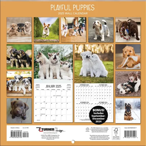 Vista 4 de Turner - Mini calendario fotográfico de pared de cachorros juguetones (25998950017)
