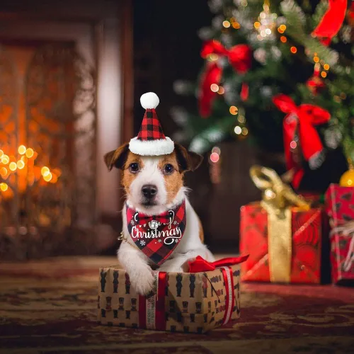 Vista 5 de DULEFUN - 3 disfraces de Navidad para perro, diseño clásico de búfalo a cuadros Dog's Christmas Outfit Clothes Bandana Hat Bowtie Scarf Kerchief