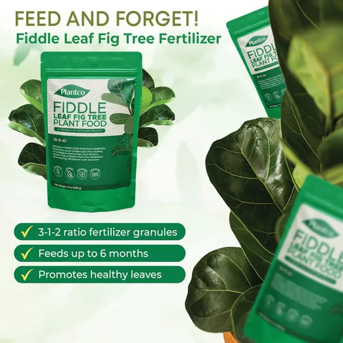 Vista 3 de Fiddle Leaf Fig Tree Plant Food - Fertilizer Granules Feed Continuously for 6 Months NPK 15-5-10 Slow-Release Fertilizer for Potted Fig Leaf and