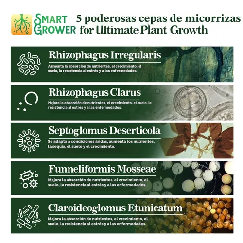 Vista 2 de Potenciador de raíces de hongos micorrízicos orgánicos para plantas, súper potente 100 esporas por gramo, mezcla de 5 cepas, resultados rápidos