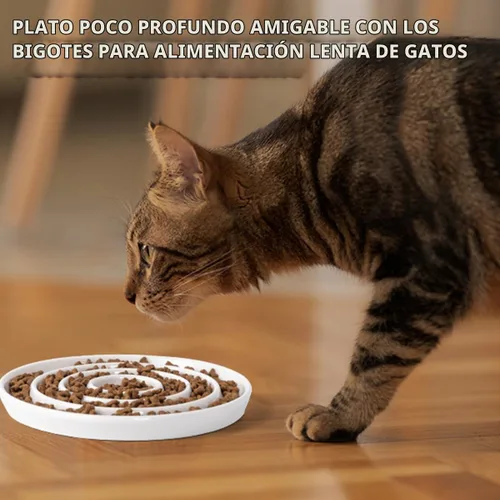 Vista 2 de Comedero lento de cerámica para gatos, plato de apertura poco profunda