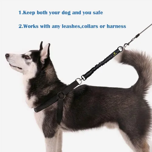 Vista 2 de Accesorio de extensión de correa elástica para perro, absorbente de extensión de plomo de 18 pulgadas, evita lesiones en el brazo y el hombro