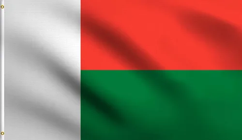 Vista 126 de DMSE - Bandera nacional beninesa beninesa de la República de África Occidental, 2 x 3 pies, 100 % poliéster, 100 % poliéster, resistente a los rayos