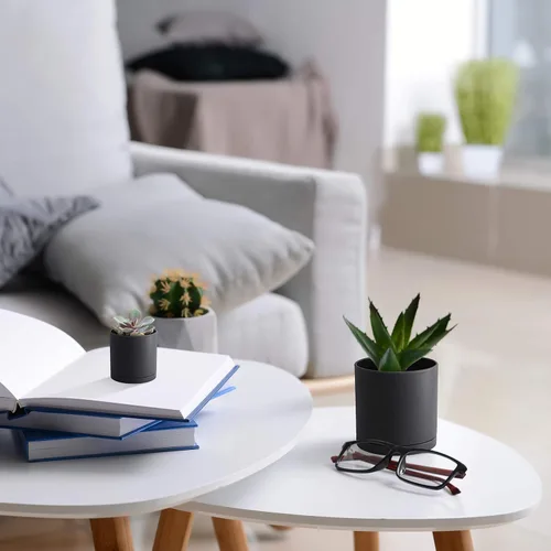 Vista 6 de D'vine Dev Paquete de 10 macetas de plástico para plantas, maceta cilíndrica para suculentas de interior de 6.5/6/5.5/4.5/4/3.5/3/2.5/2 pulgadas