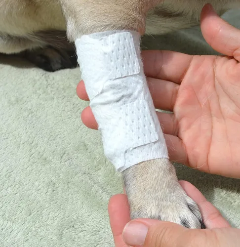 Vista 4 de PawFlex Vendajes para heridas articulares y de área grande para perros, gatos y otras mascotas. Ideal para esguinces de articulaciones de piernas