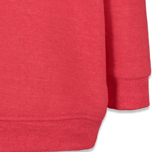 Vista 4 de Snoopy Woodstock Joe Cool - Sudadera con capucha de vellón para niños pequeños
