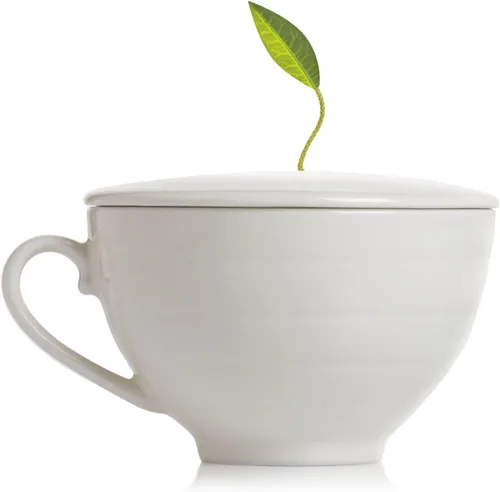 Vista 14 de Tea Forte Terra Frank Lloyd Wright - Taza de café de porcelana con tapa