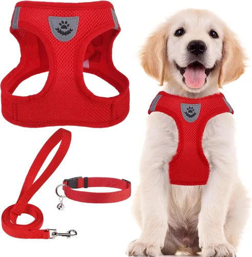 Vista 24 de PUPTECK - Arnés, collar y correa ajustables, sin tirones, para perros pequeños y medianos, cachorros y gatos, pechera reflectante acolchada de malla