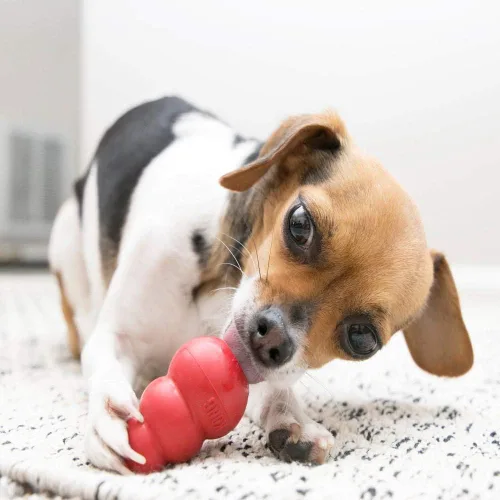 Vista 3 de Juguete masticable clásico Kong para perros - Juguete de buscar y masticar para perros - Capacidad para rellenar con premios y rebote errático